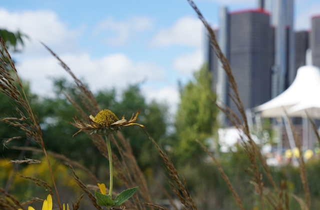 Episode 107 – Detroit Bankruptcy Background