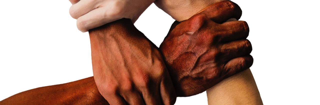 Episode 118 – ownership in the non-profit sector